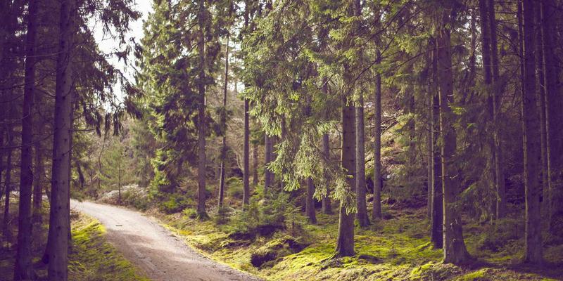 下一代防火墙（NGFW）的演进：集成AI与威胁情报的主动防御体系如何重塑移动应用与网络技术安全