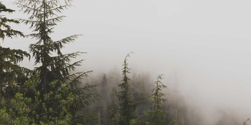 从网站建设到移动应用：云原生网络（CNI）与服务网格（如Istio）如何重塑微服务通信