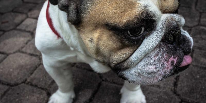 网络即服务（NaaS）如何重塑软件开发与移动应用（YBPKZL）的未来