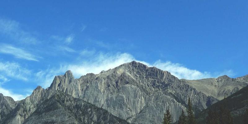 网络技术是什么？从YBPKZL到移动应用，解析数字时代的核心驱动力