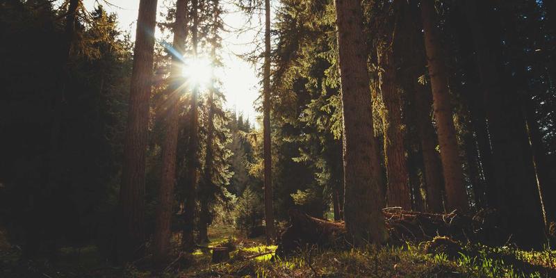 软件开发与网络技术融合：基于Ansible的网络自动化运维实战