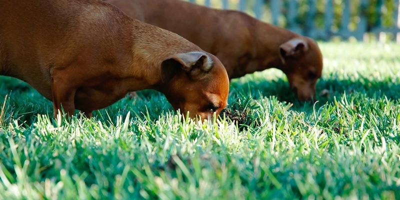 边缘计算与网络技术融合：如何通过YBPKZL技术咨询提升物联网设备响应速度